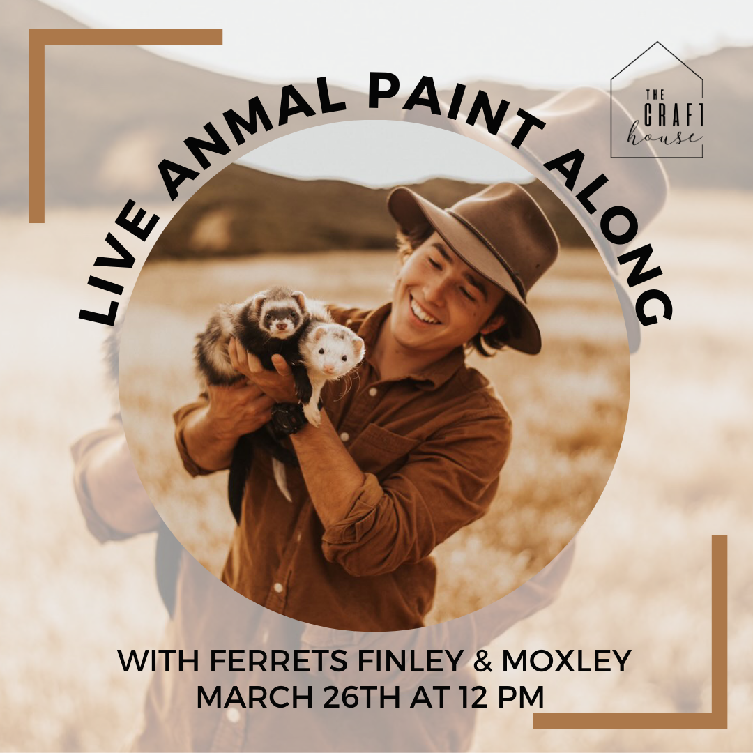 Live animal paint along-2