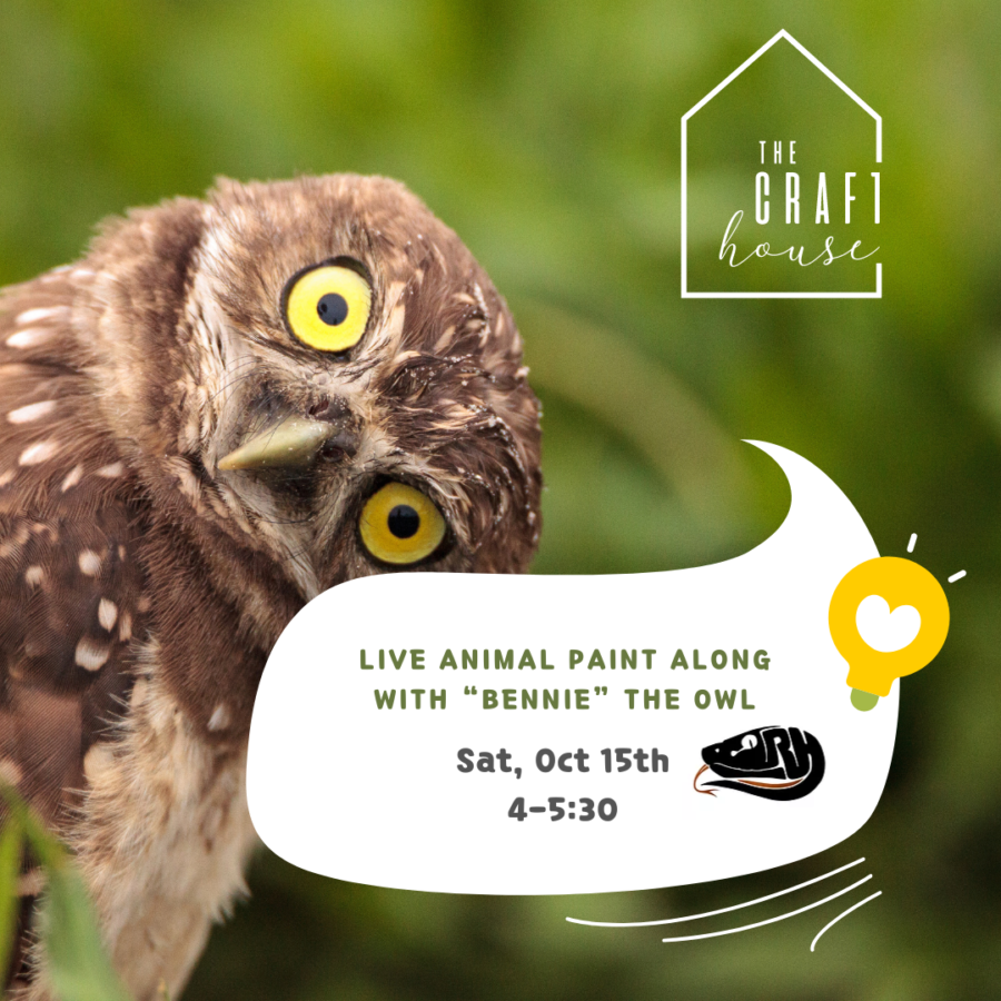 Live Animal Paint Along (1)