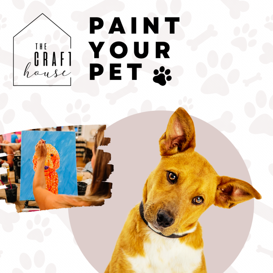 PAINT YOUR PET