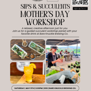 Sips & Succulents (1)