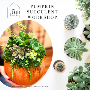 Succulent Workshop (2)